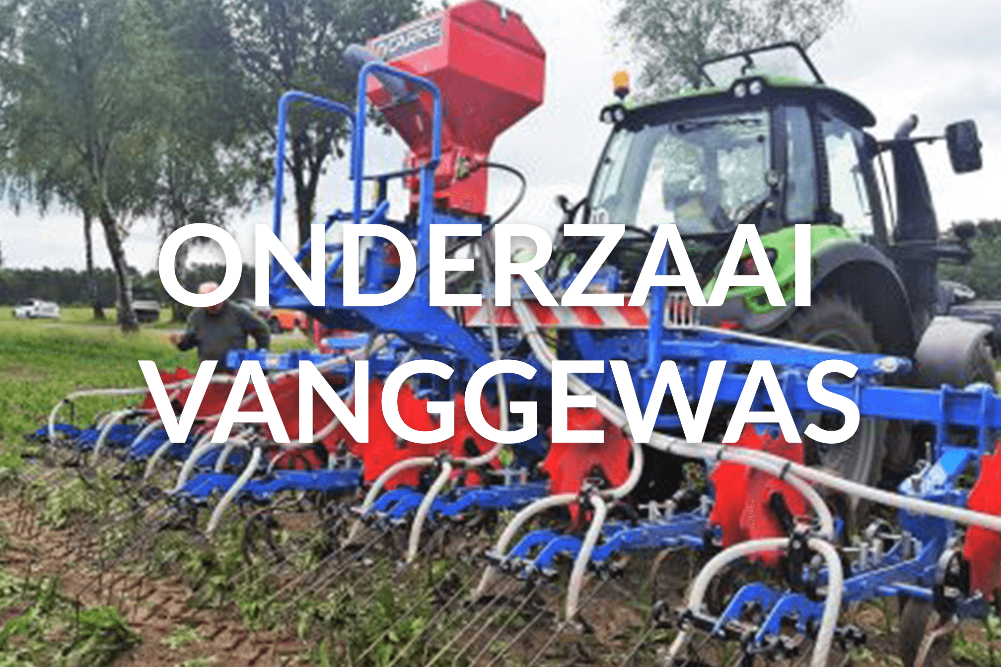 Carré_Onderzaai vanggewas_GROOT2