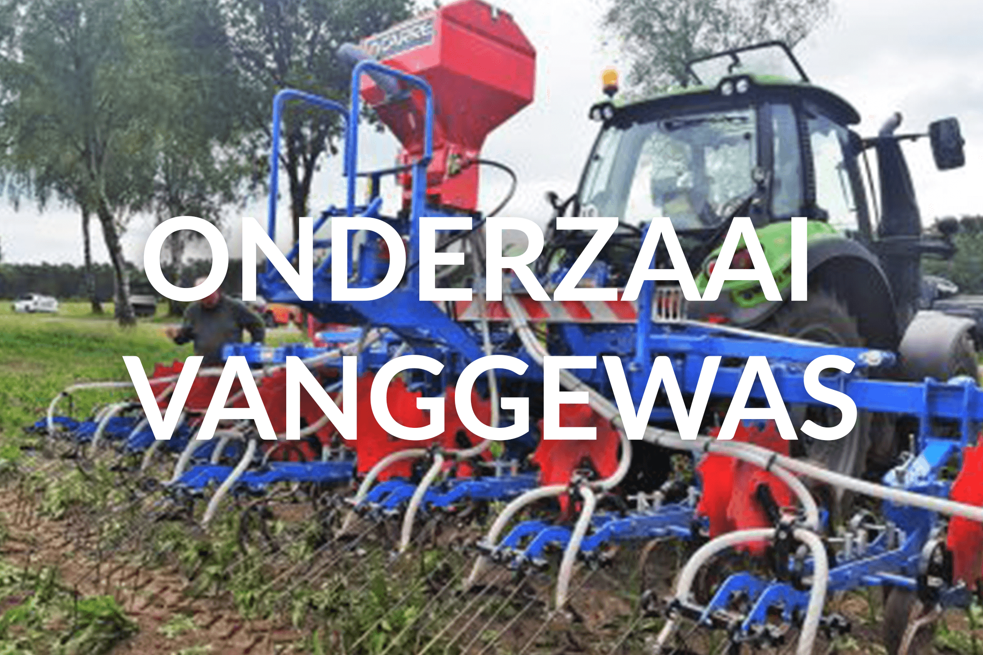 Onderzaai vanggewas