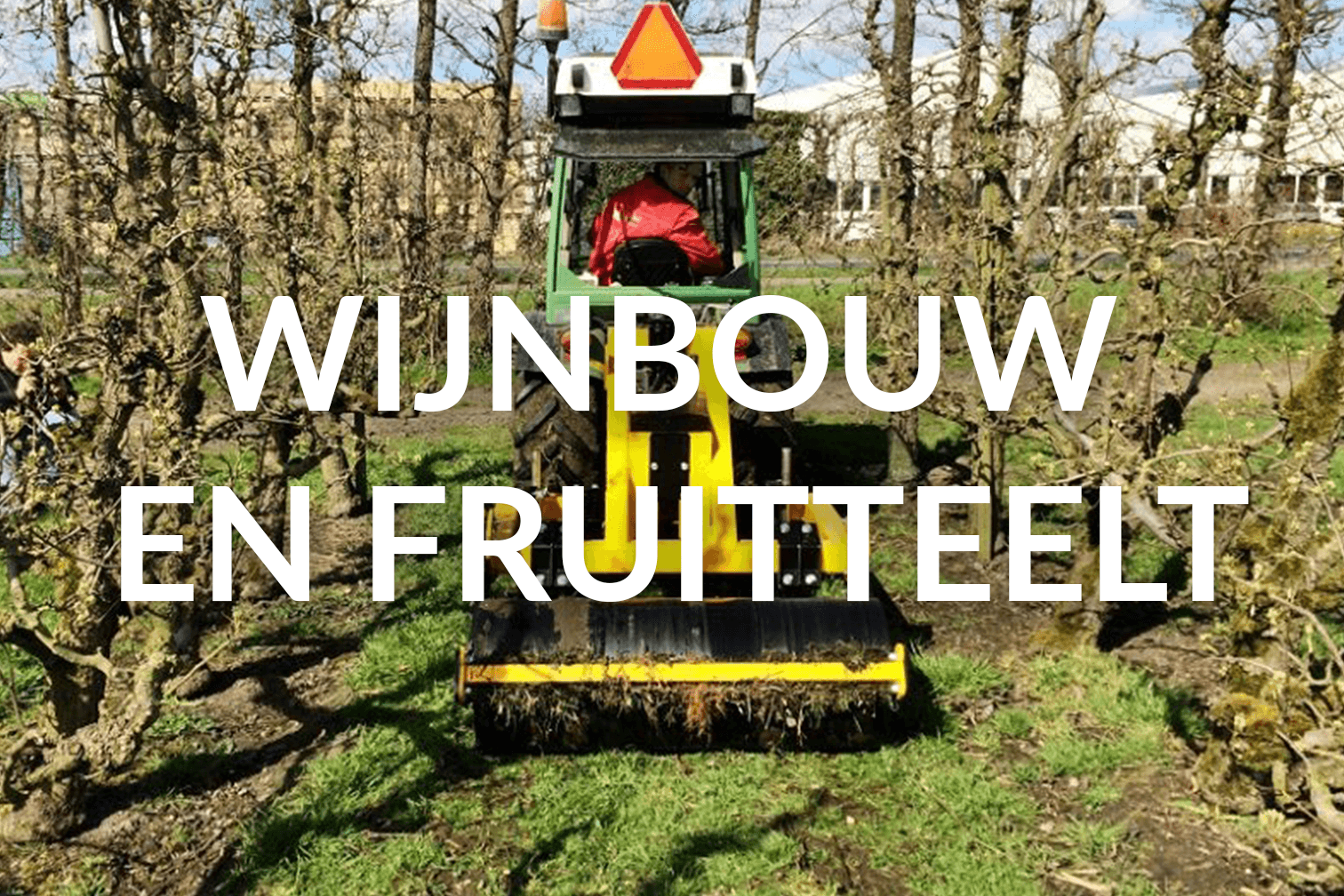 Wijn bouw en fruitteelt