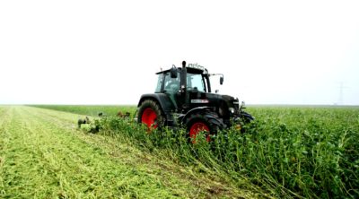 schulte rotomulchmaaier roto mulch mulchen maaier klepelen groenbemester verkleinen bladrammenas japanse haver major spearhead mcconnel hoge capaciteit stoppelbewerking maisstoppel bermen natuurterrein vliegveld