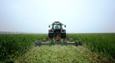 schulte rotomulchmaaier roto mulch mulchen maaier klepelen groenbemester verkleinen bladrammenas japanse haver major spearhead mcconnel hoge capaciteit stoppelbewerking maisstoppel bermen natuurterrein vliegveld